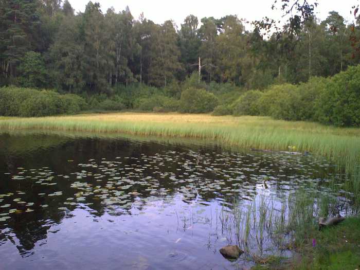 jonsson from Göteborg, Sweden