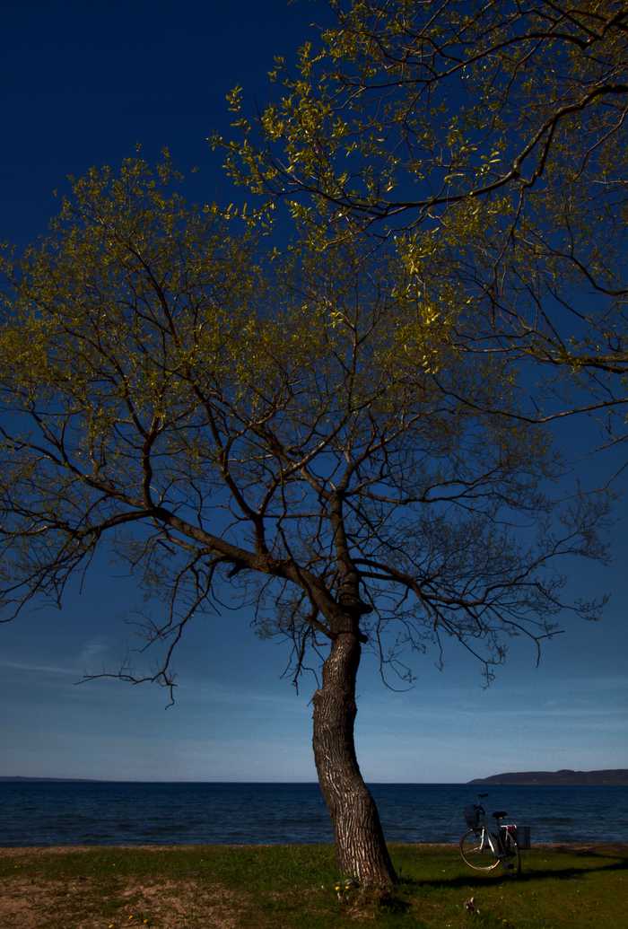 Guillaume Baviere from Uppsala, Sweden