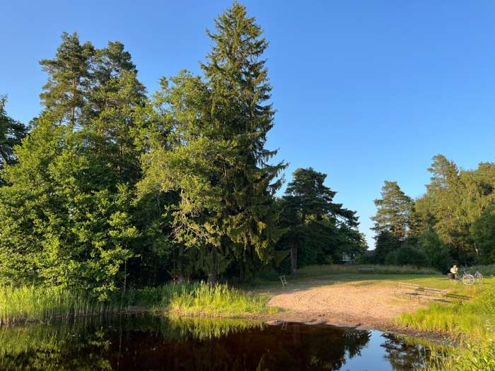 Badplats Sälgsjön, Gävle