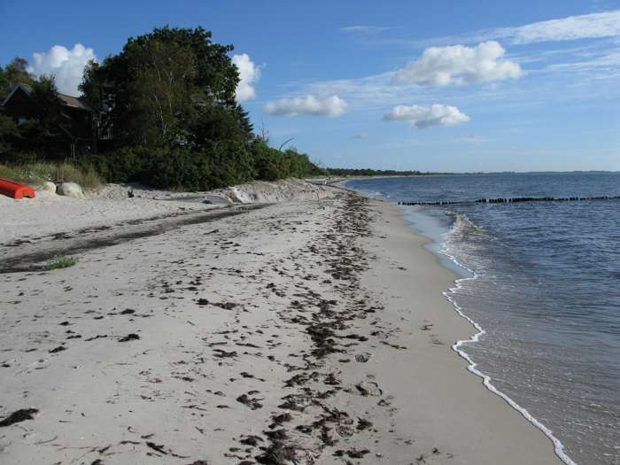 Magnus Persson/SGU - Beddingestrand