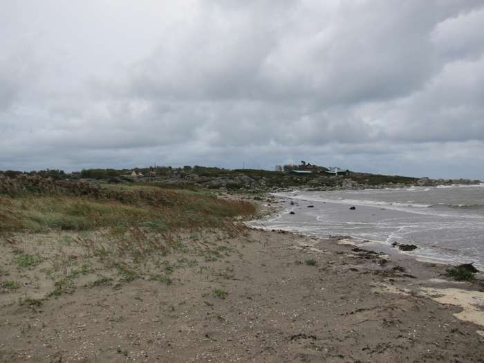 Kärstin Malmberg Persson/SGU - Skrea strand