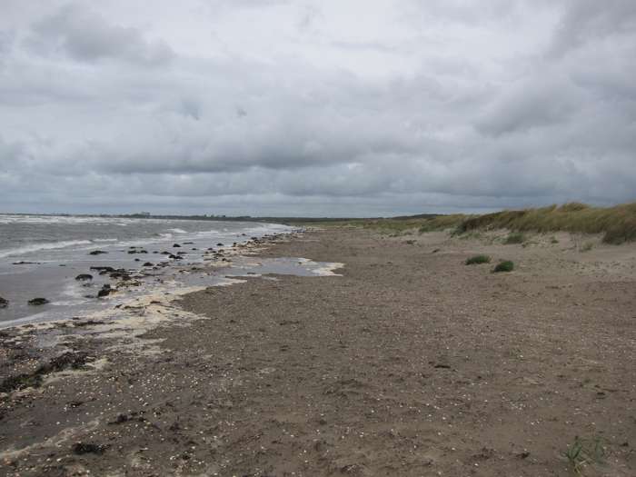 Kärstin Malmberg Persson/SGU - Skrea strand