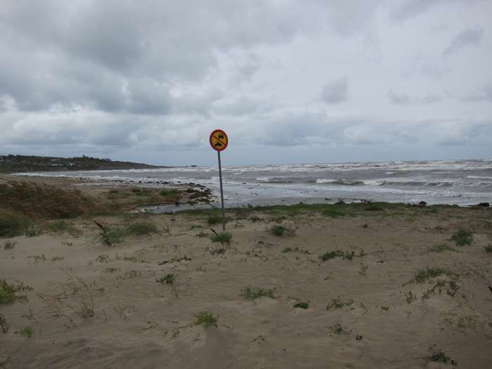 Kärstin Malmberg Persson/SGU - Skrea strand