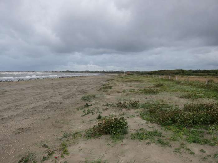 Kärstin Malmberg Persson/SGU - Skrea strand
