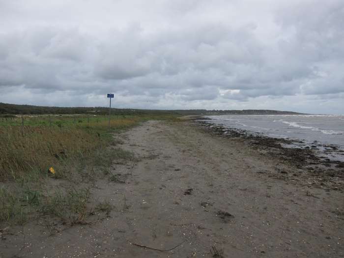 Kärstin Malmberg Persson/SGU - Skrea strand