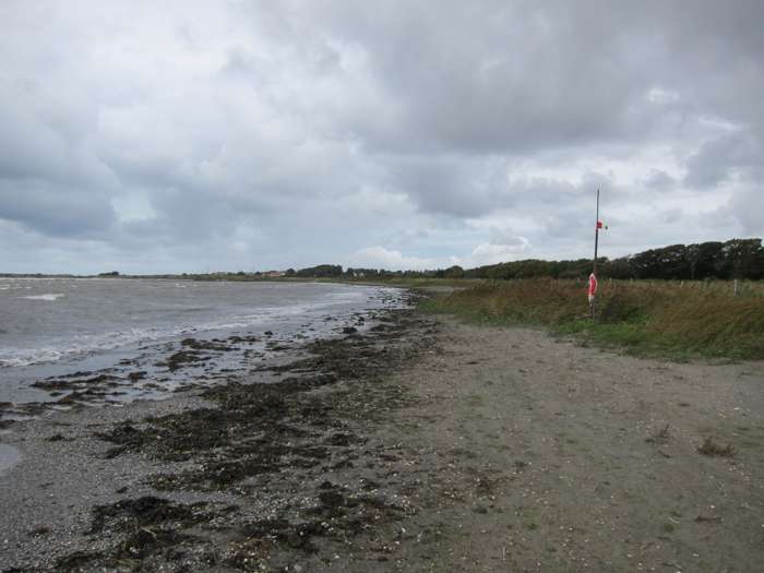 Kärstin Malmberg Persson/SGU - Skrea strand