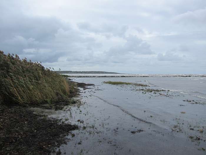 Kärstin Malmberg Persson/SGU - Skrea strand