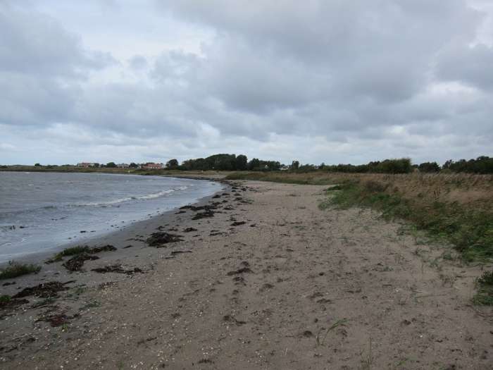 Kärstin Malmberg Persson/SGU - Skrea strand