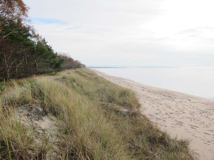 Kärstin Malmberg Persson/SGU - Ystad sandskog
