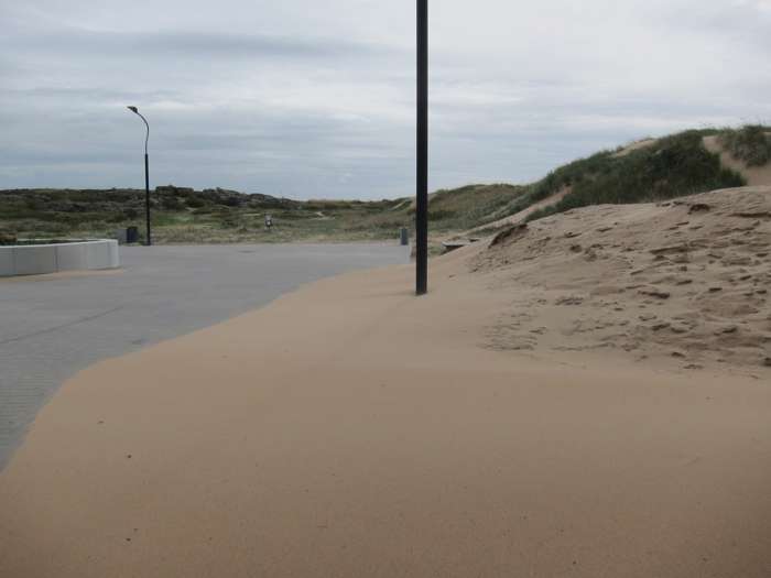 Kärstin Malmberg Persson/SGU - Skrea strand