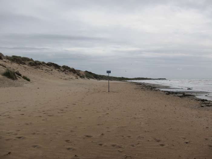 Kärstin Malmberg Persson/SGU - Skrea strand