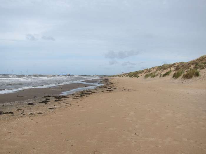 Kärstin Malmberg Persson/SGU - Skrea strand
