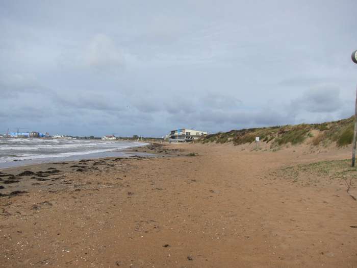 Kärstin Malmberg Persson/SGU - Skrea strand
