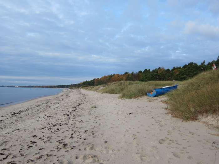 Kärstin Malmberg Persson/SGU - Ystad sandskog