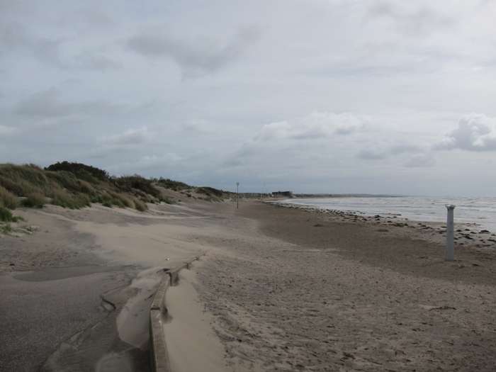 Kärstin Malmberg Persson/SGU - Skrea strand