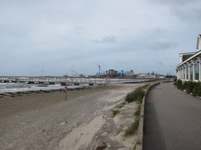 Kärstin Malmberg Persson/SGU - Skrea strand