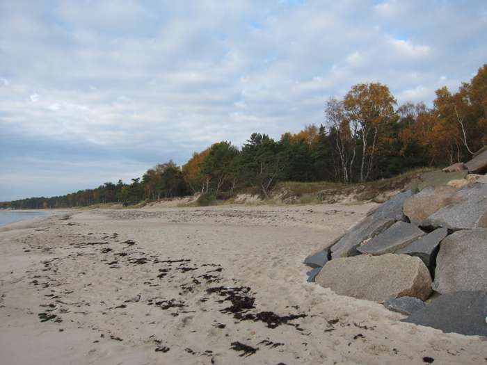 Kärstin Malmberg Persson/SGU - ystad sandskog
