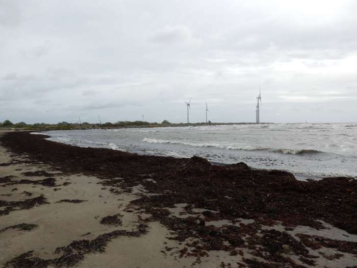 Colby Smith/SGU - Stafsingestrand