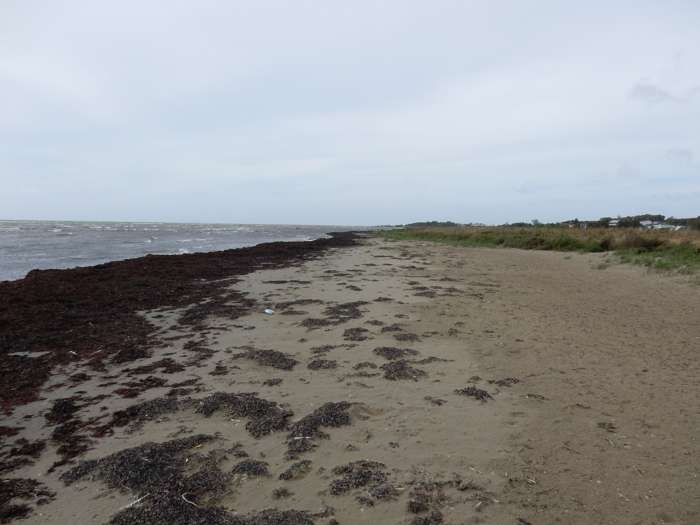 Colby Smith/SGU - Stafsingestrand