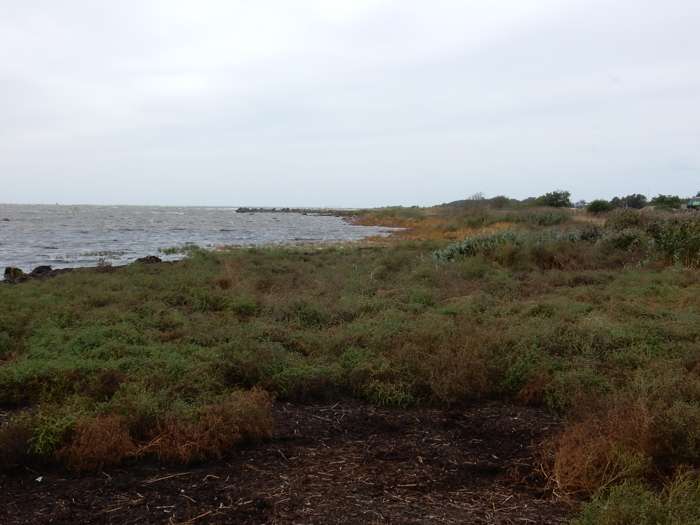 Colby Smith/SGU - Stafsingestrand
