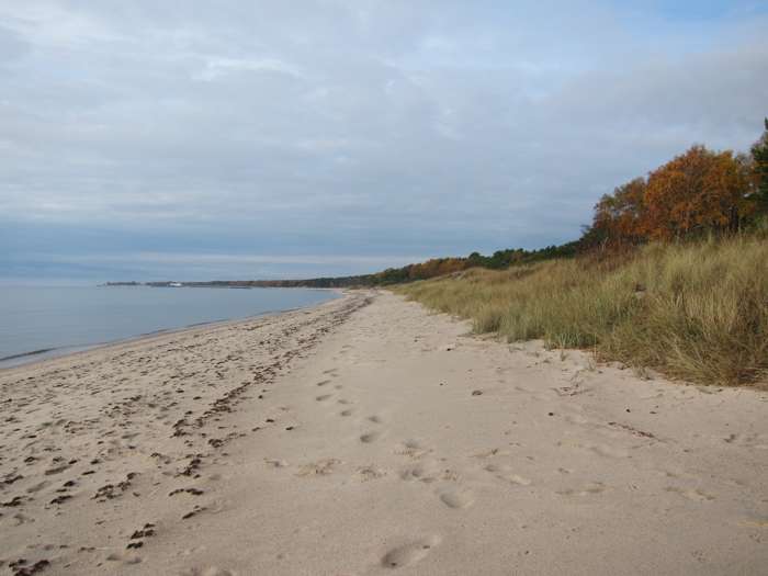Kärstin Malmberg Persson/SGU - Ystad sandskog