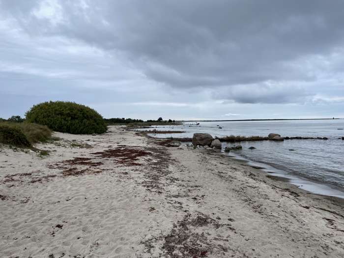 Jonas Ising/SGU - Kårehamn