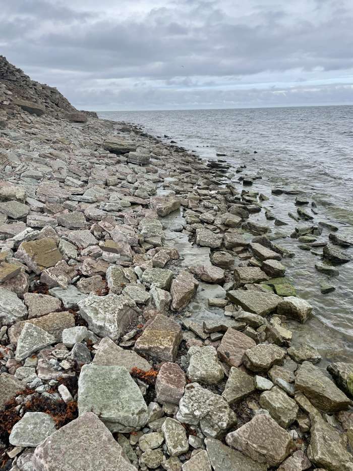 Otto Pile/SGU - Djupvik