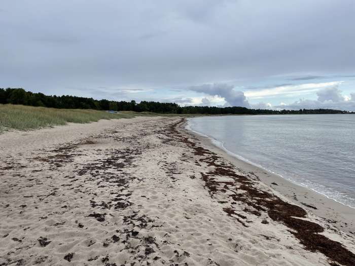 Jonas Ising/SGU - Högby-Sandby