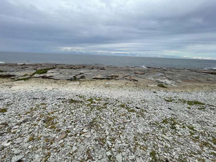 Otto Pile/SGU - Sandviken