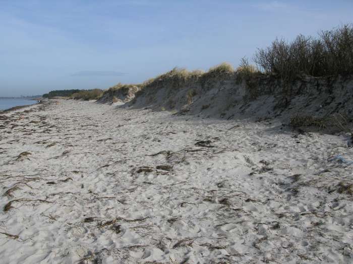 Magnus Persson/SGU - Lomma Beach