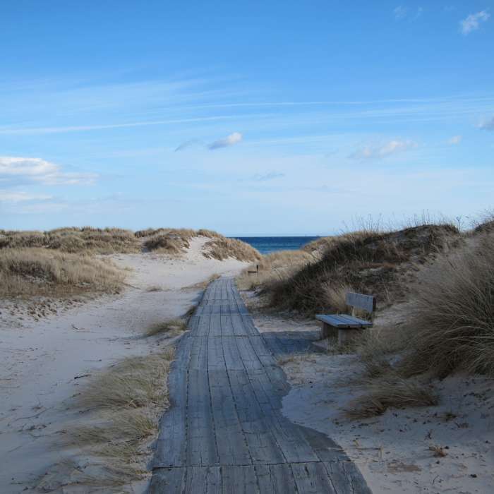 Elisabeth Magnusson/SGU - Sandhammaren