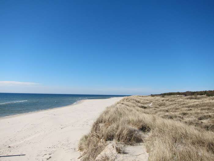 Jonas Ising/SGU - Sandhammaren
