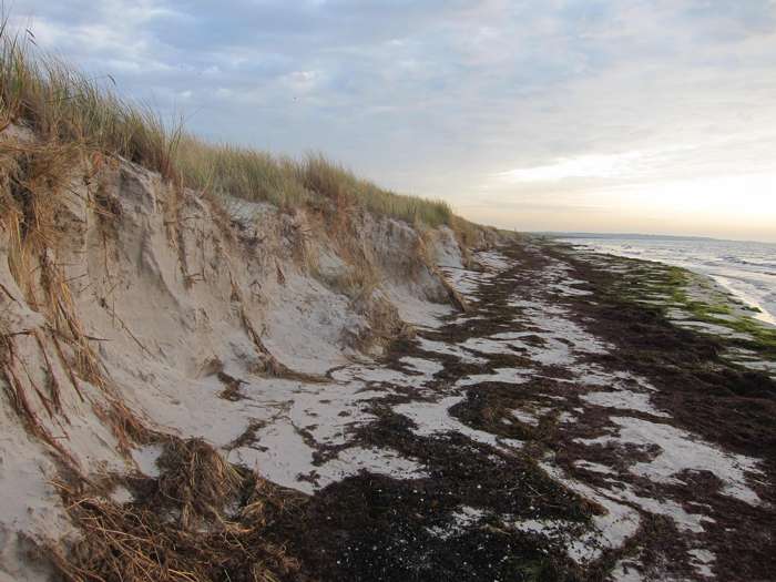 Elisabeth Magnusson/SGU - Falsterbo