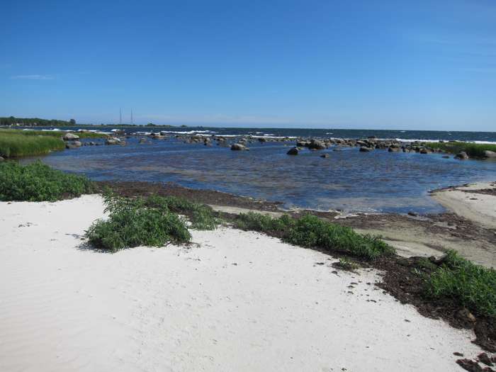 Elisabeth Magnusson/SGU - Västra Torsö