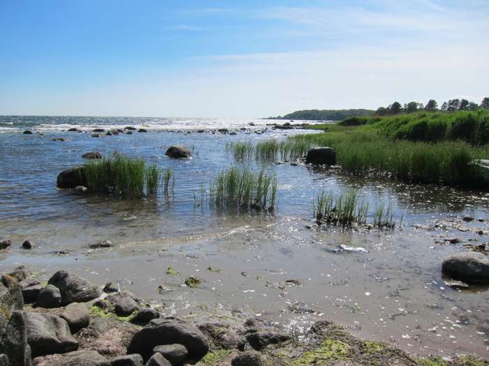 Elisabeth Magnusson/SGU - Västra Torsö