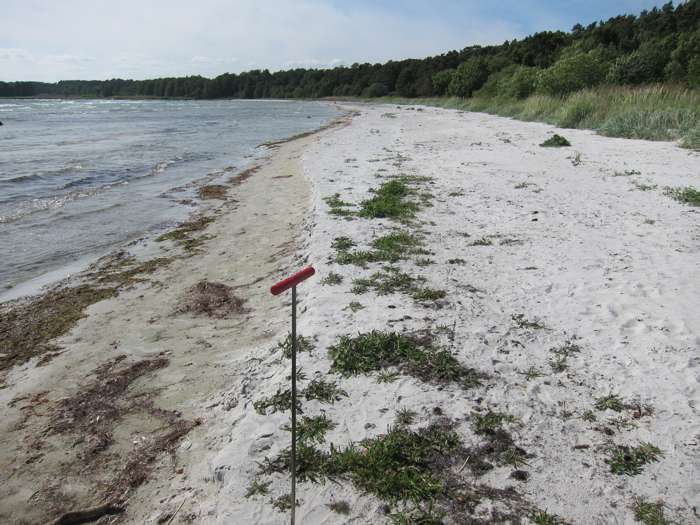 Elisabeth Magnusson/SGU - Västra Torsö
