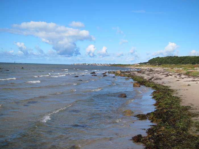 Jonas Ising/SGU - Domsten