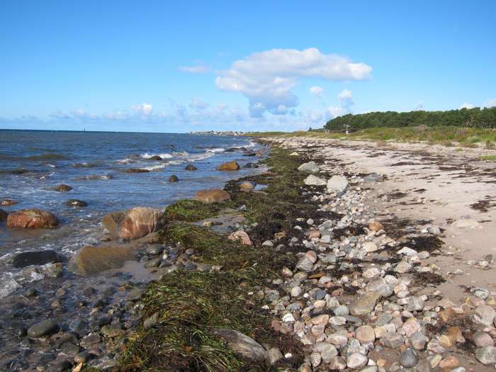Jonas Ising/SGU - Domsten