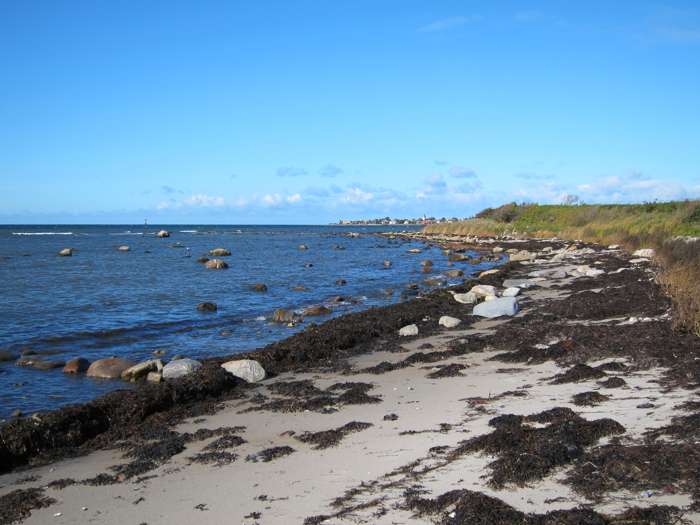 Jonas Ising/SGU - Domsten