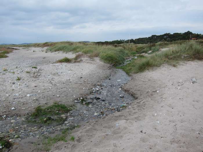 Kärstin Malmberg Persson/SGU - Strandbaden
