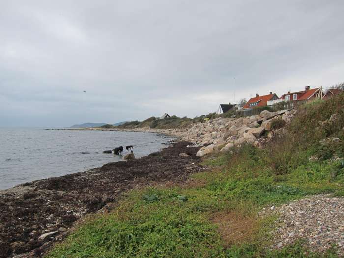 Kärstin Malmberg Persson/SGU - Nyhamnläge