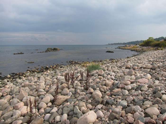 Elisabeth Magnusson/SGU - Arild