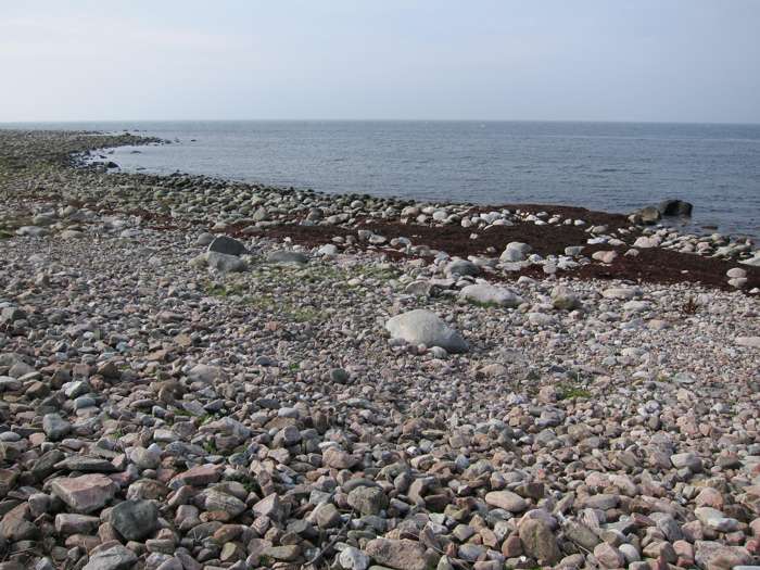 Kärstin Malmberg Persson/SGU - Mölle