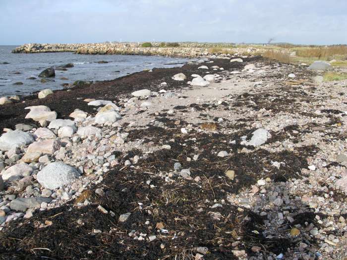 Magnus Persson/SGU - Segelstorpsstrand
