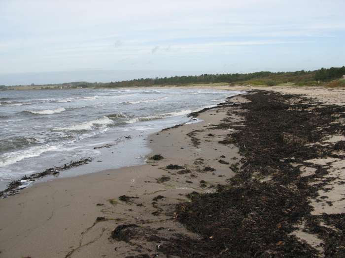 Magnus Persson/SGU - Ängelsbäcksstrand