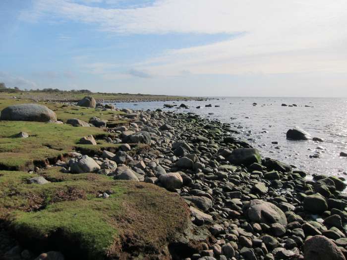 Jonas Ising/SGU - Öllövsstrand