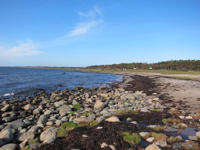 Jonas Ising/SGU - Öllövsstrand