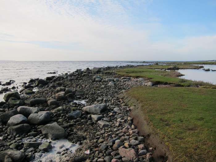 Jonas Ising/SGU - Glimminge plantering