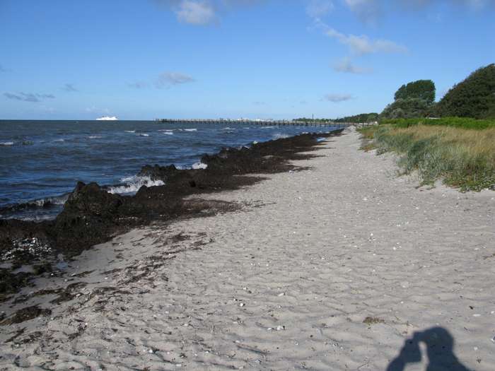 Magnus Persson/SGU - Svartesjö