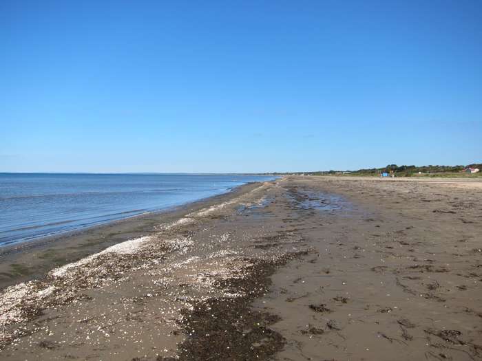 Kärstin Malmberg Persson/SGU - Skummeslövsstrand
